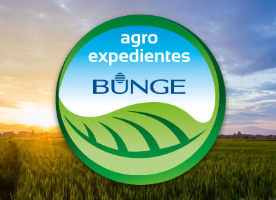 Agro Expedientes Bunge. Diseño corporativo, branding, manuales de identidad corporativa, logotipos, marcas