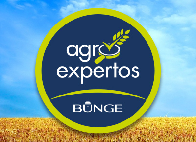 Isologotipo Agro Expertos Bunge. Diseño corporativo, branding, manuales de identidad corporativa, logotipos, marcas